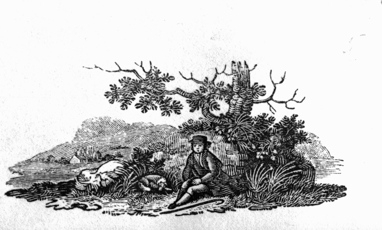 Férfi satnya fánál ül a Brit madarak és négylábúak története című filmből alkotó: Thomas Bewick