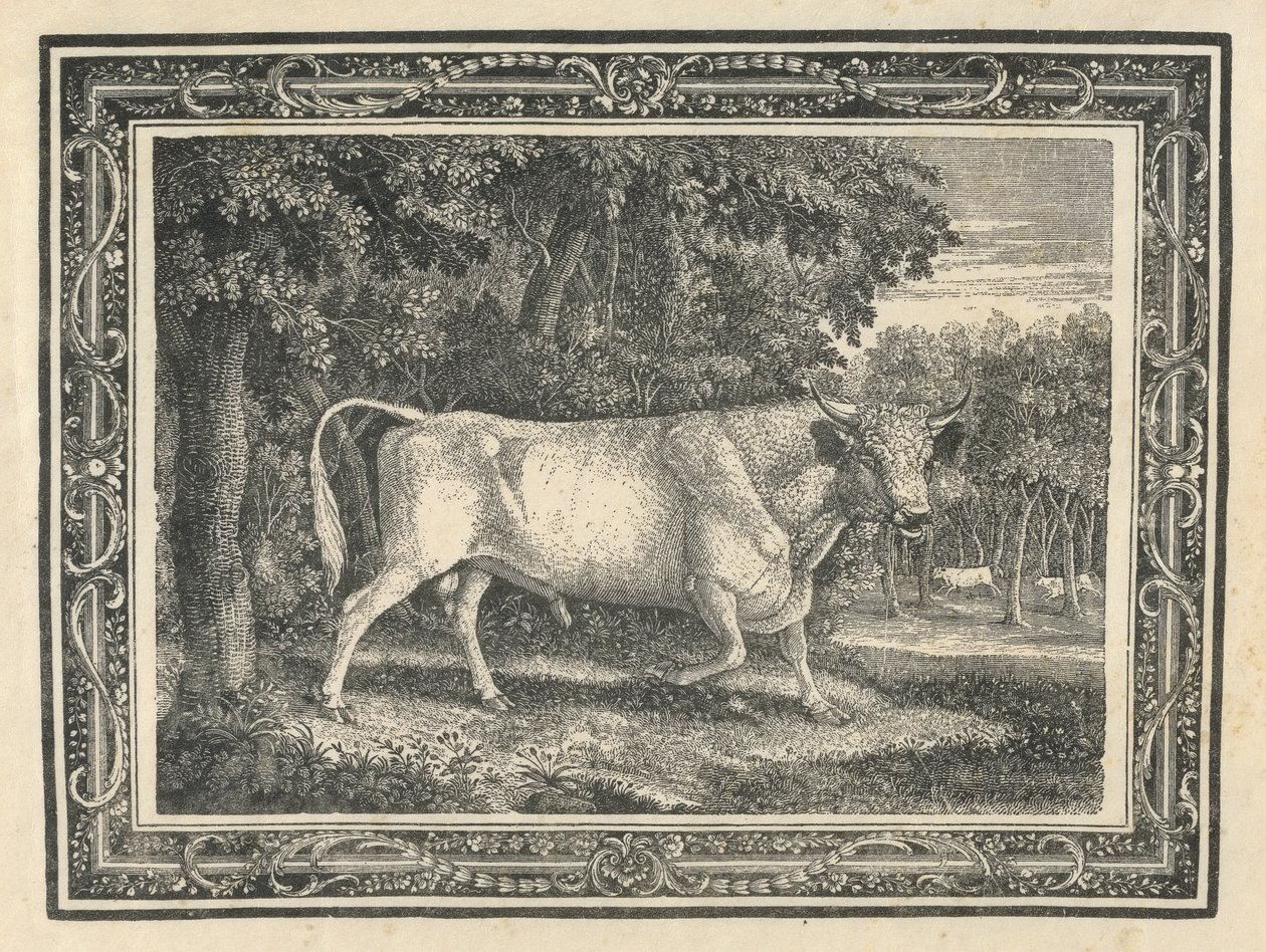 Chillingham vad bikája alkotó: Thomas Bewick