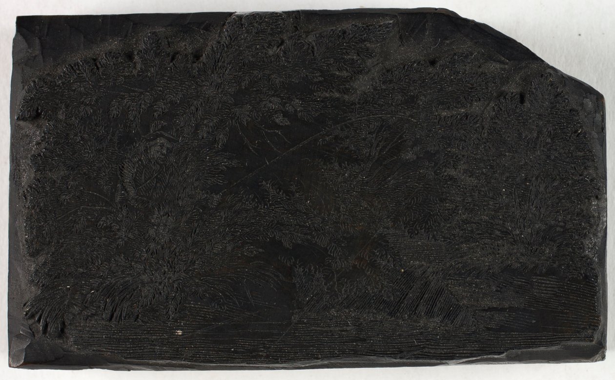 Fafaragás: „Halászó férfi egy fa alatt, vízeséssel” alkotó: Thomas Bewick