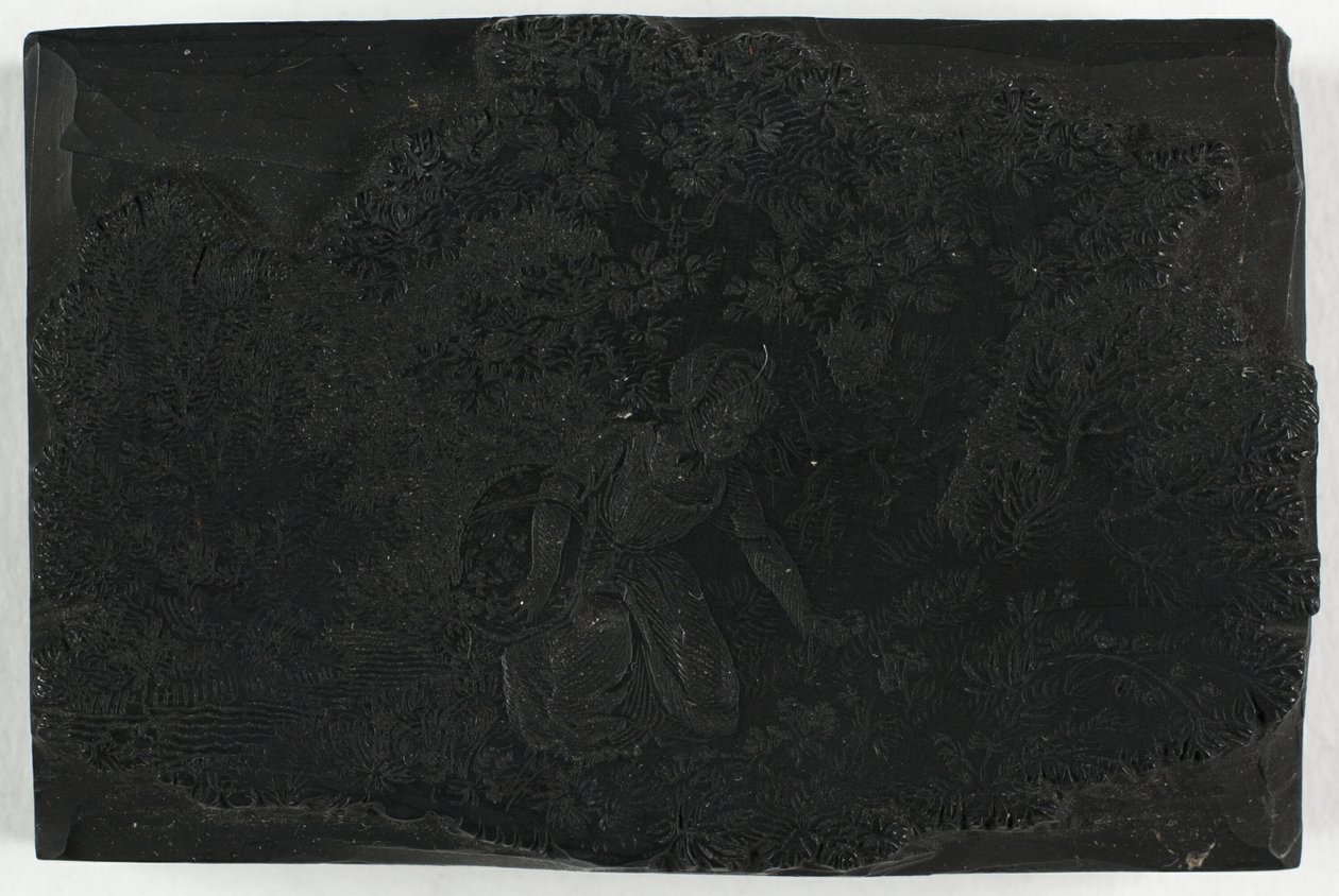 Woodblock virágszedő nő számára alkotó: Thomas Bewick