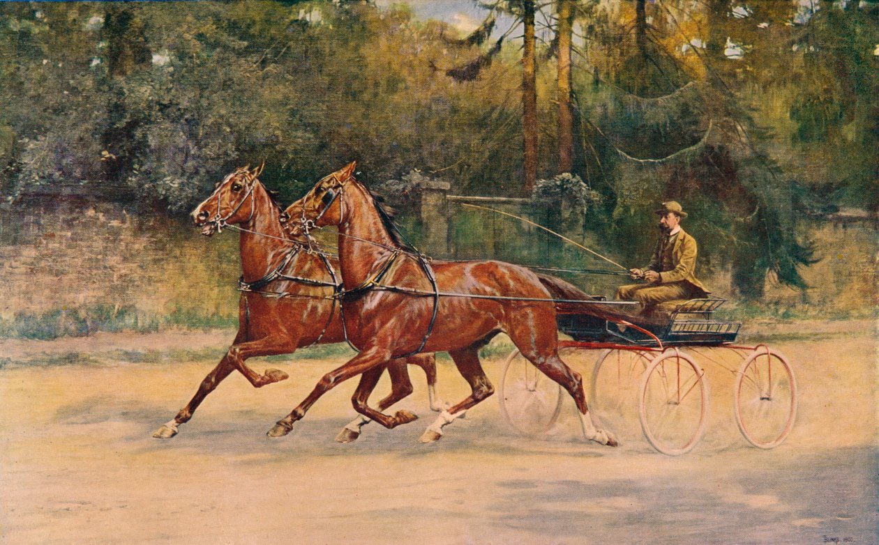 Walter Winans ügető páros, 1900 c1910 alkotó: Thomas Blinks