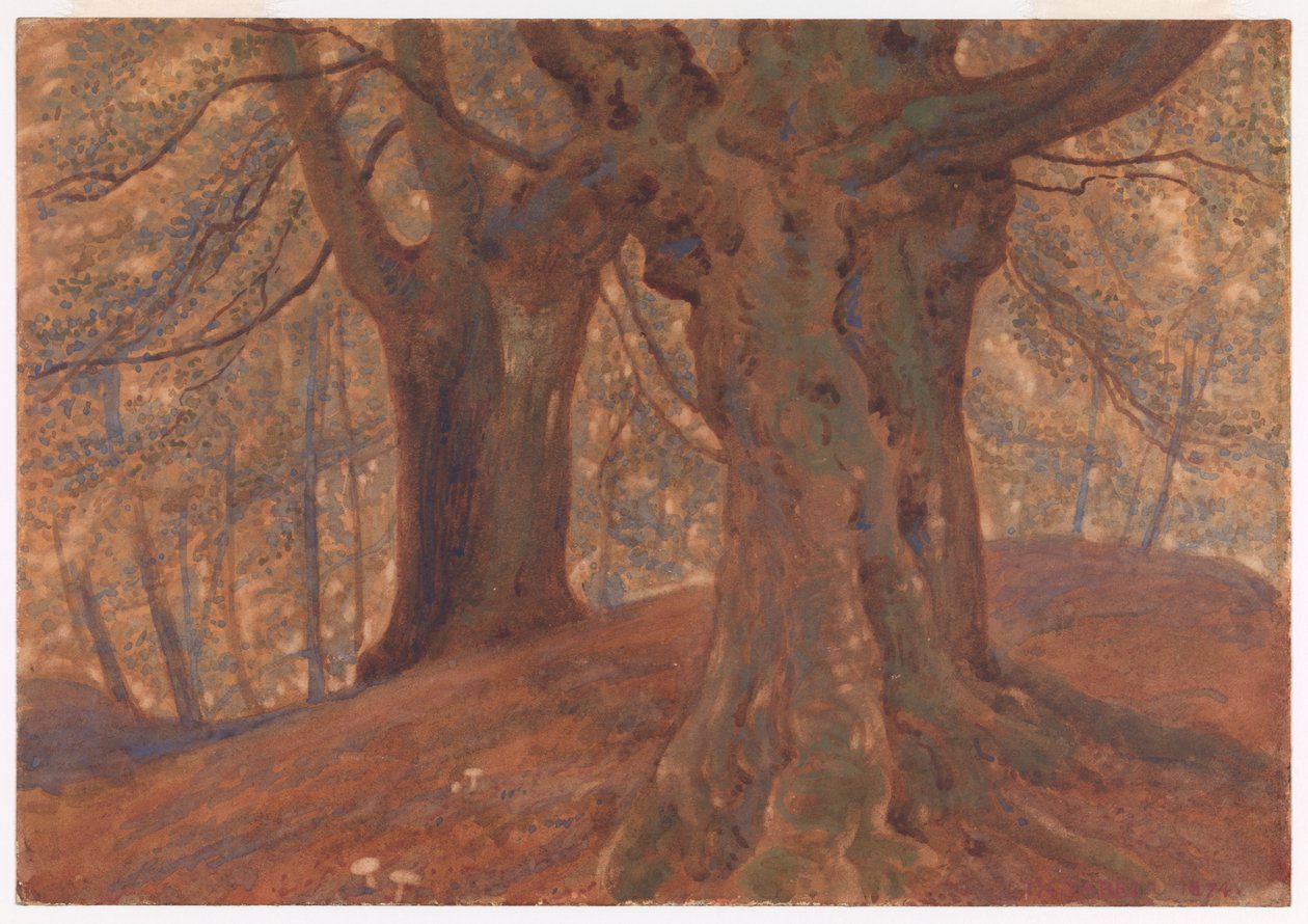 Burnham Beeches alkotó: Thomas Charles Farrer