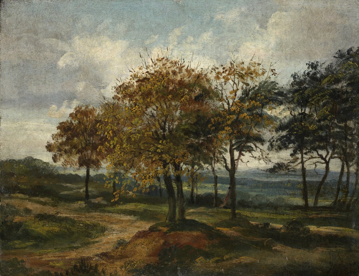 Erdős Táj alkotó: Thomas Churchyard