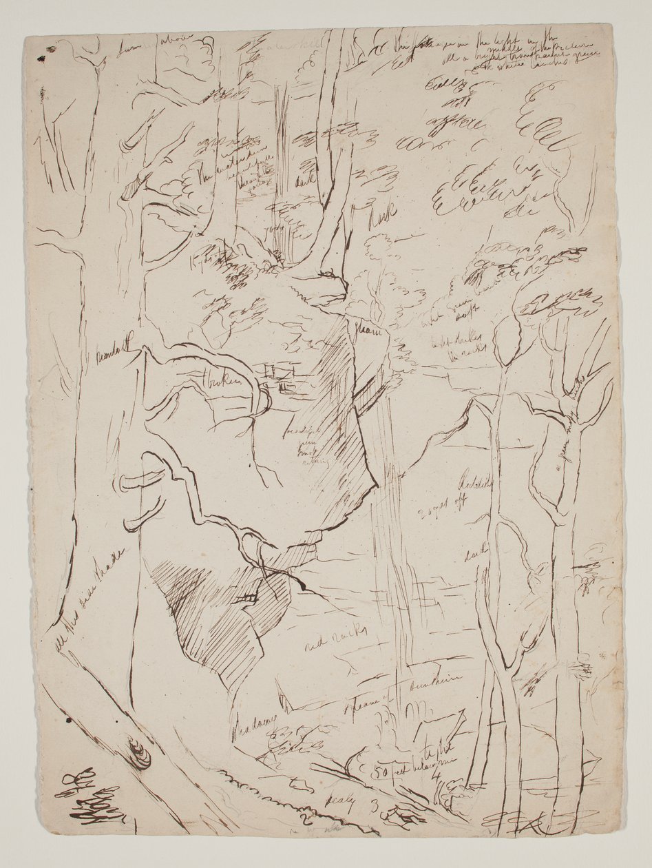 Kaaterskill-vízesés, 1801-48 körül (toll és barna tinta) alkotó: Thomas Cole
