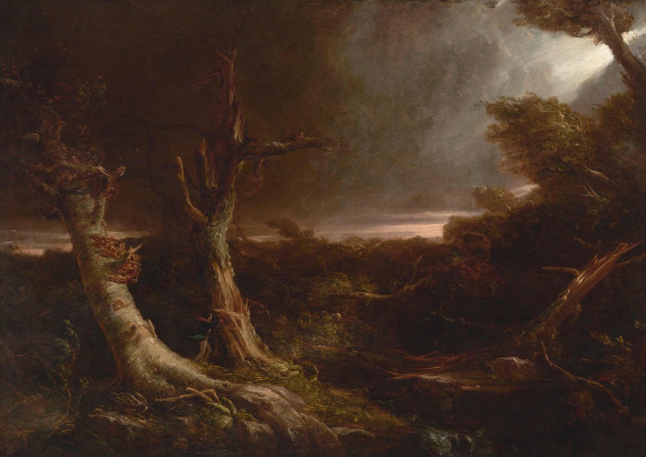 Tornádó egy amerikai erdőben alkotó: Thomas Cole