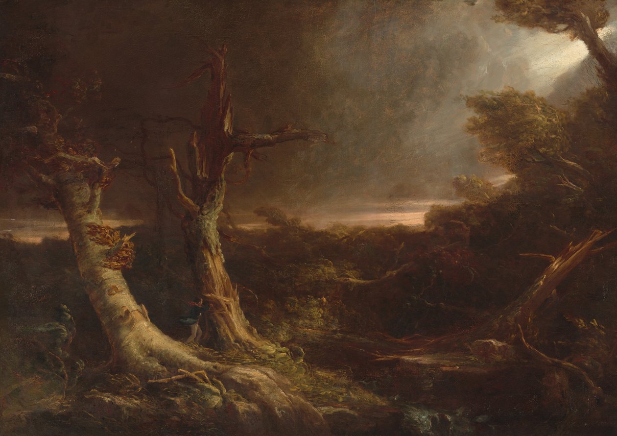 Tornádó egy amerikai erdőben alkotó: Thomas Cole