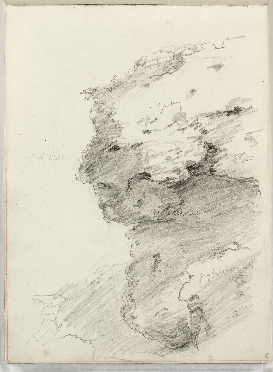 Cím nélkül (egy szikla részlete lombokkal) 1831 (ceruza papíron) alkotó: Thomas Cole
