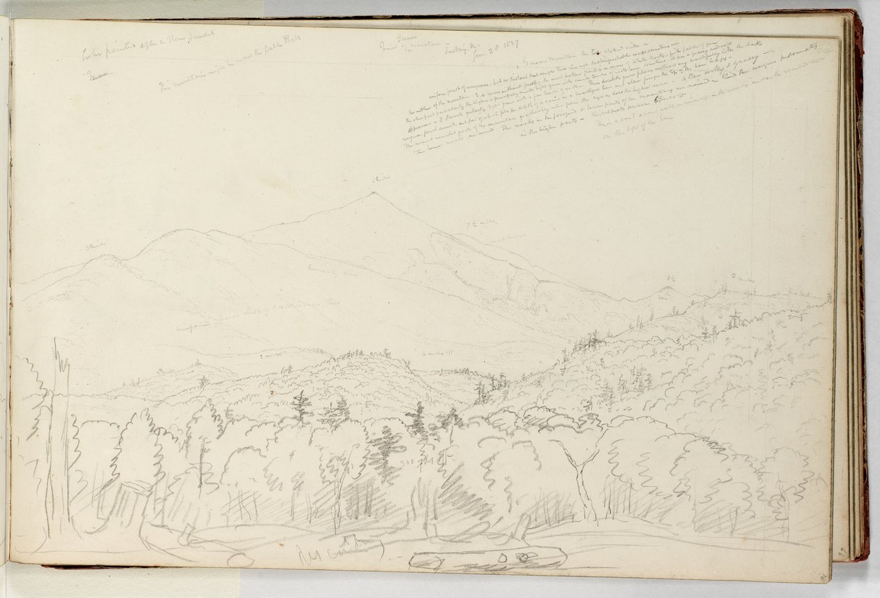 Kilátás a Schroon-hegyre északra nézve június 28 alkotó: Thomas Cole