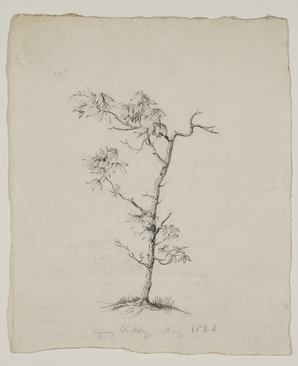  alkotó: Thomas Cole