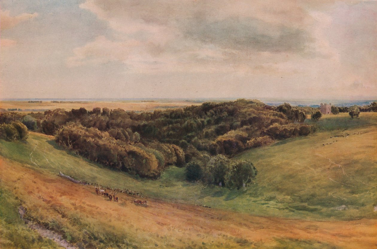 Arundel Park, 1874 alkotó: Thomas Collier
