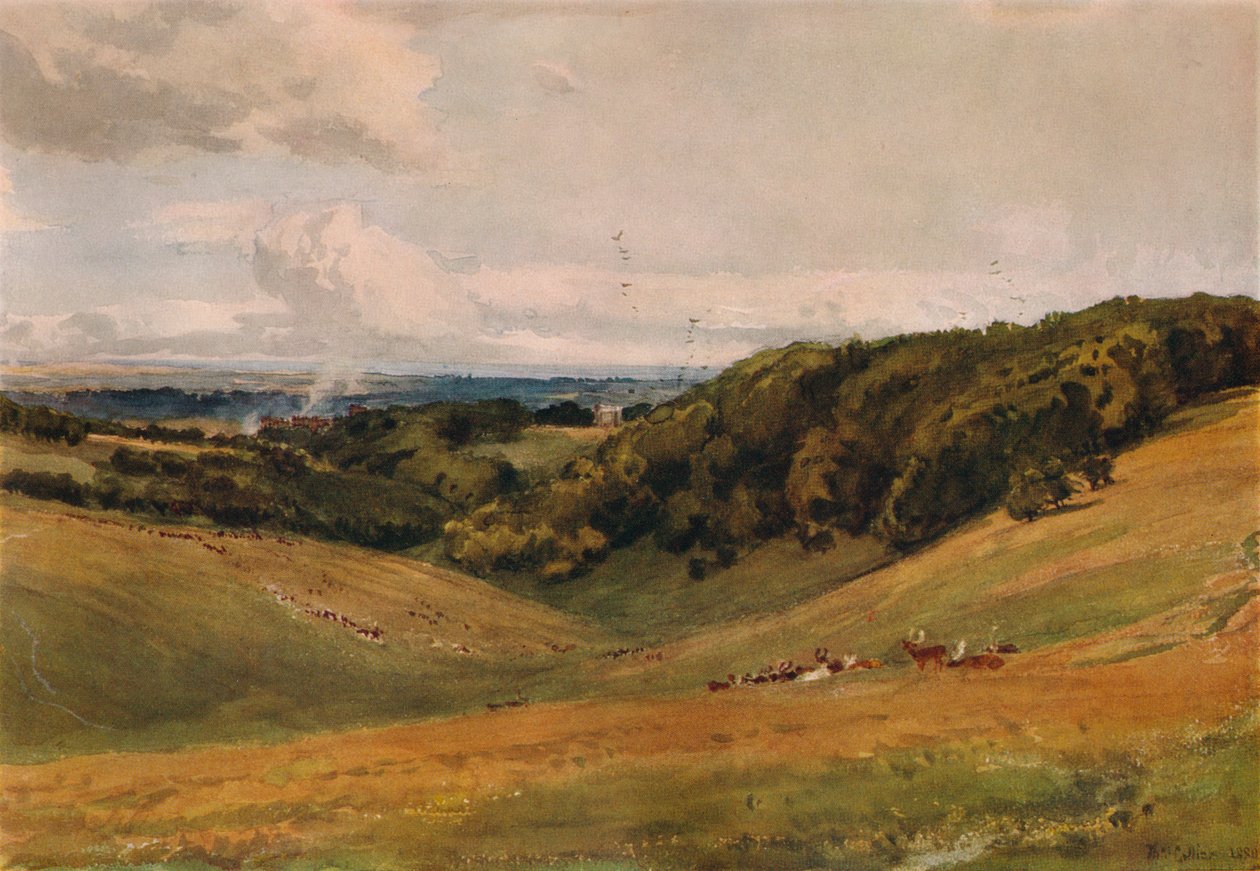 Arundel Park, Szarvassal, 1880 alkotó: Thomas Collier