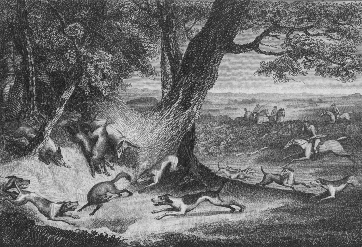 A róka halála, 1793. alkotó: Thomas Cook