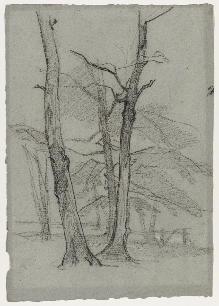 Tájtanulmány a fákkal, c. 1870-1875. alkotó: Thomas Couture