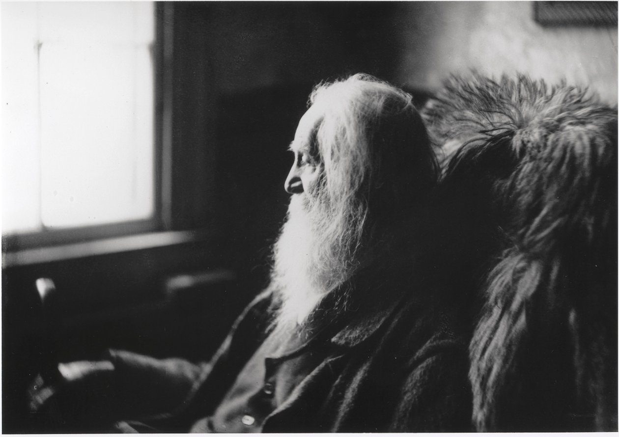 Walt Whitman Camdenben, N.J., 1891 körül (ezüstnyomat papírra) alkotó: Thomas Cowperthwait Eakins