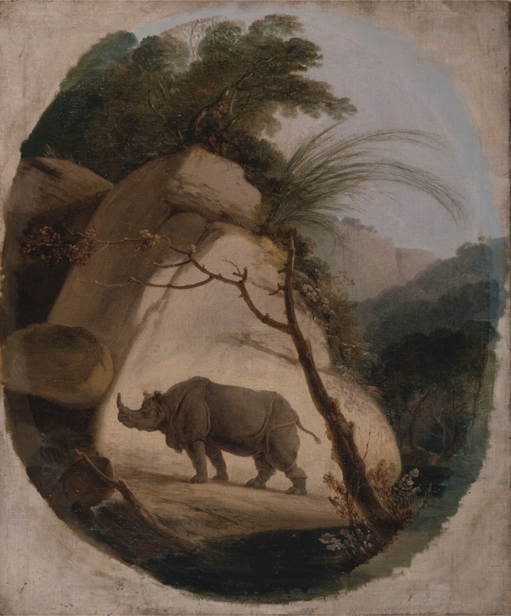 Az indiai orrszarvú alkotó: Thomas Daniell