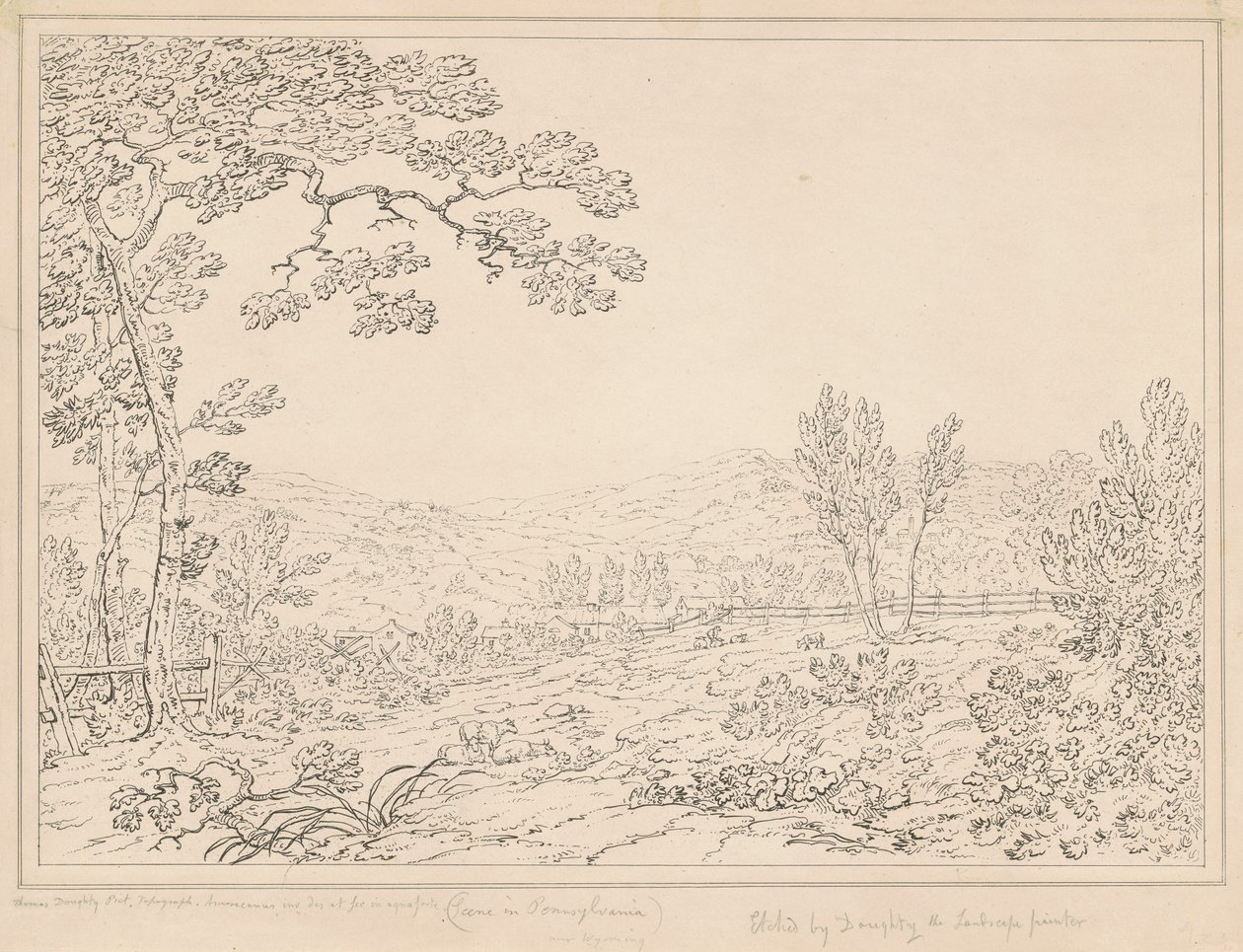 Pennsylvania táj alkotó: Thomas Doughty