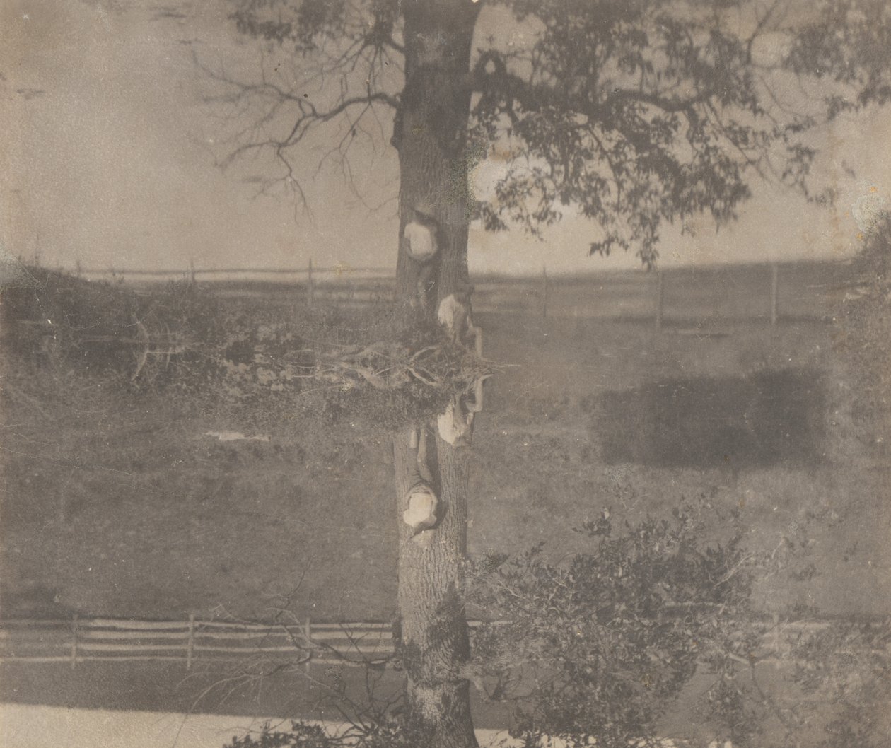 [Crowell gyerekek Avondale-ben, Pennsylvania] alkotó: Thomas Eakins