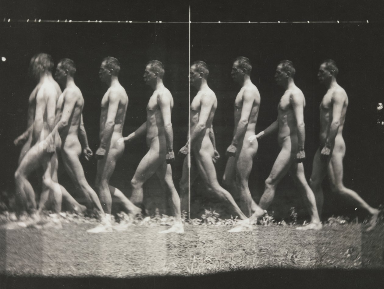 [Man Walking, Stroboscopic Photograph], 1880-as évek, nyomtatott 1930-40-es évek, 1880-as évek, nyomtatott 1930-40-es évek. alkotó: Thomas Eakins