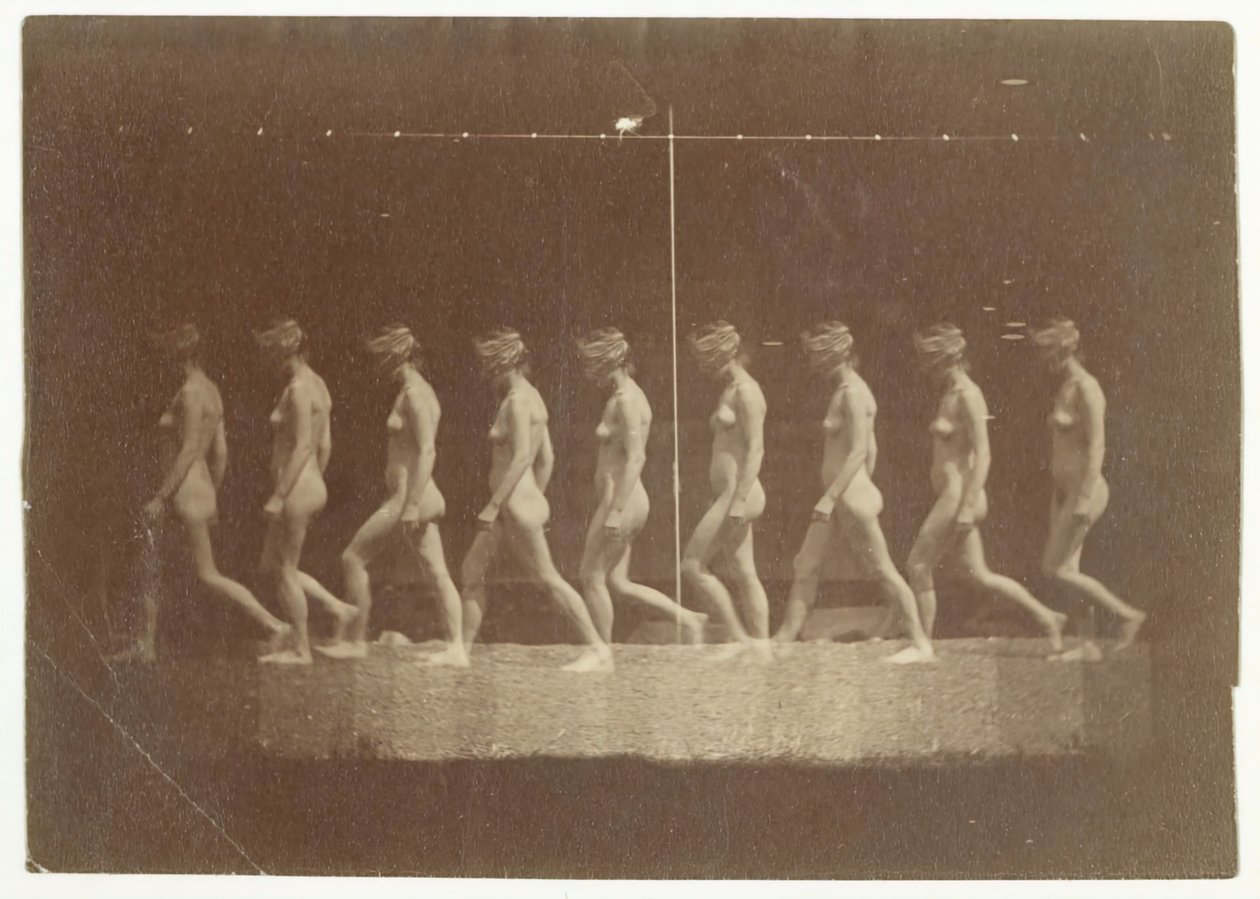 Marey Wheel fényképei azonosítatlan modellről, 1884. alkotó: Thomas Eakins