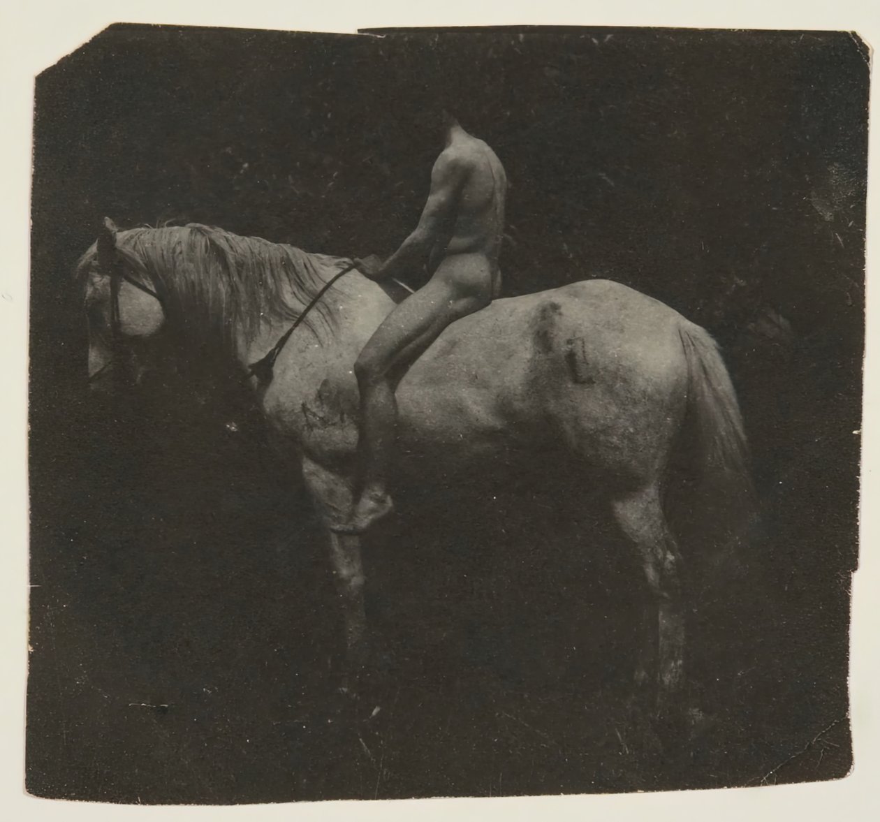 Samuel Murray Astride Eakins: Horse Billy, c. 1892. alkotó: Thomas Eakins
