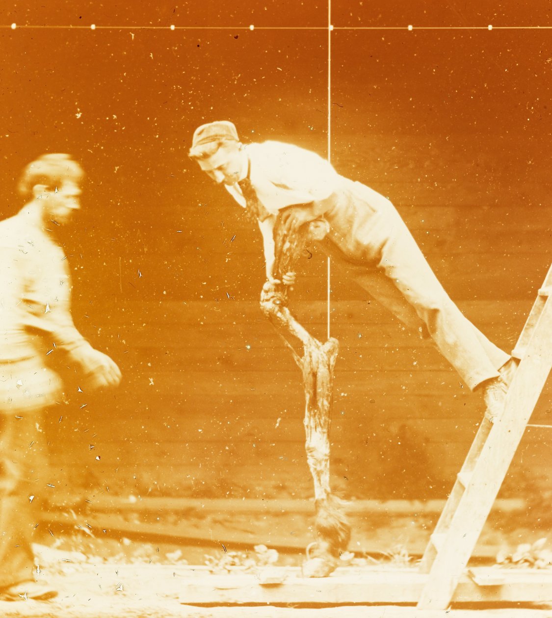 [Studie der Muskelaktion: Junger Mann lehnt an einem Pferdebein] alkotó: Thomas Eakins