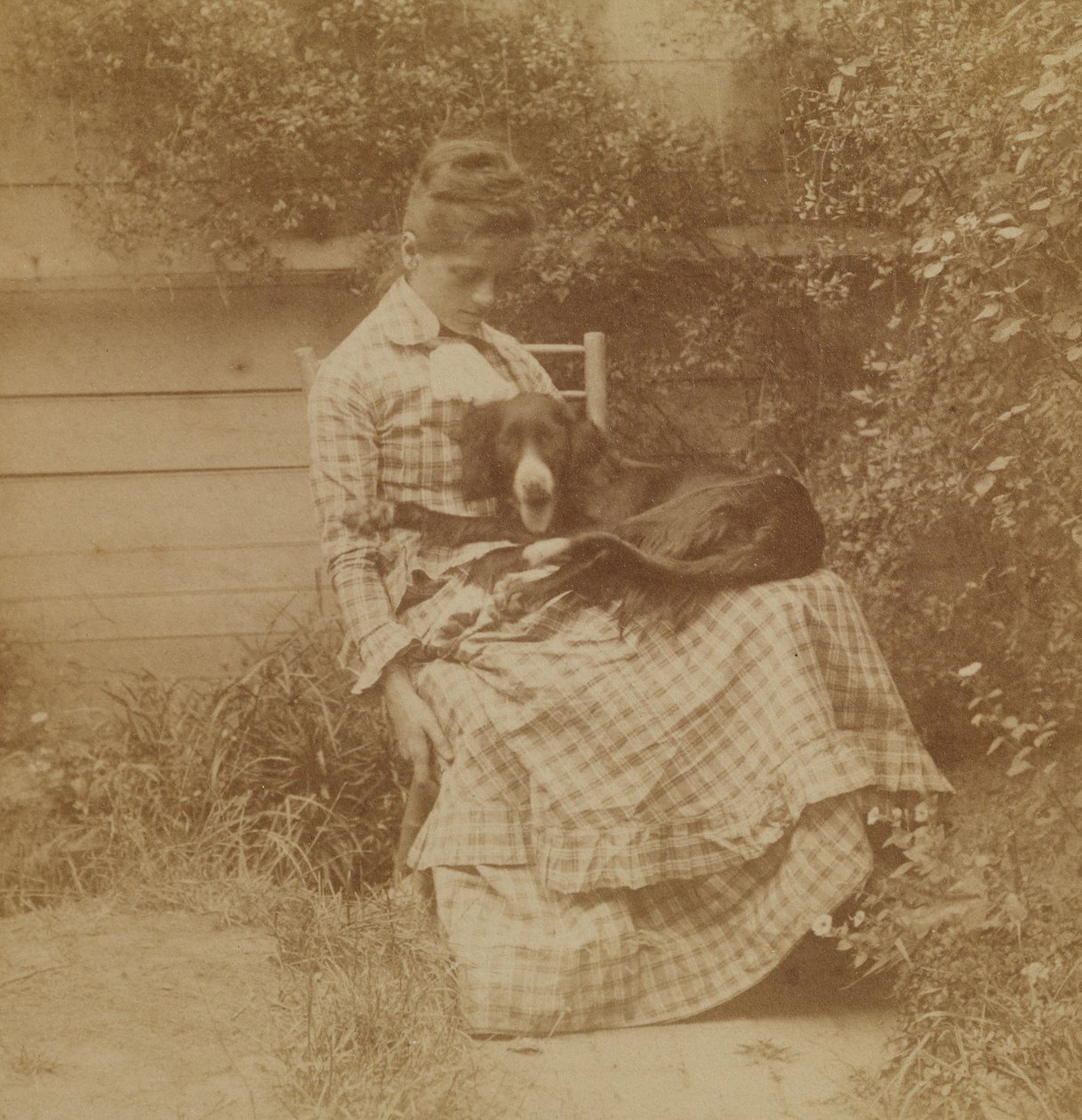 [Susan Macdowell (később Thomas Eakins felesége) egy szetterrel] alkotó: Thomas Eakins