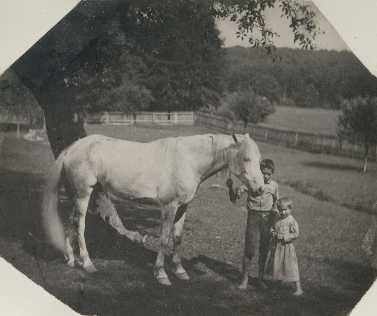 Thomas Eakins: Horse Billy és két Crowell gyermek Avondale-ben, Pennsylvaniában, kb. 1892. alkotó: Thomas Eakins