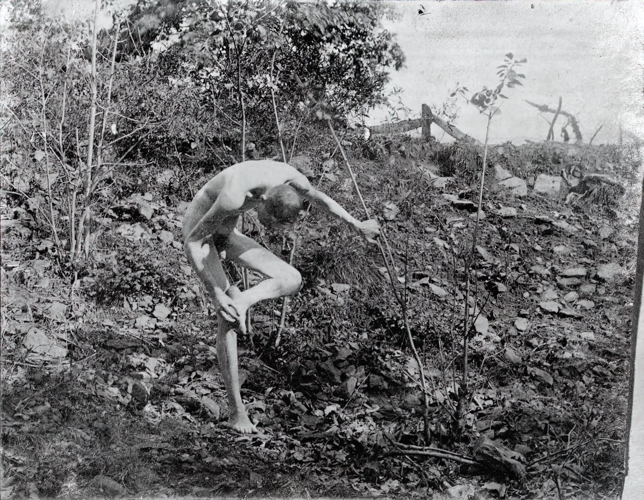 Tövishúzó, c. 1883. alkotó: Thomas Eakins