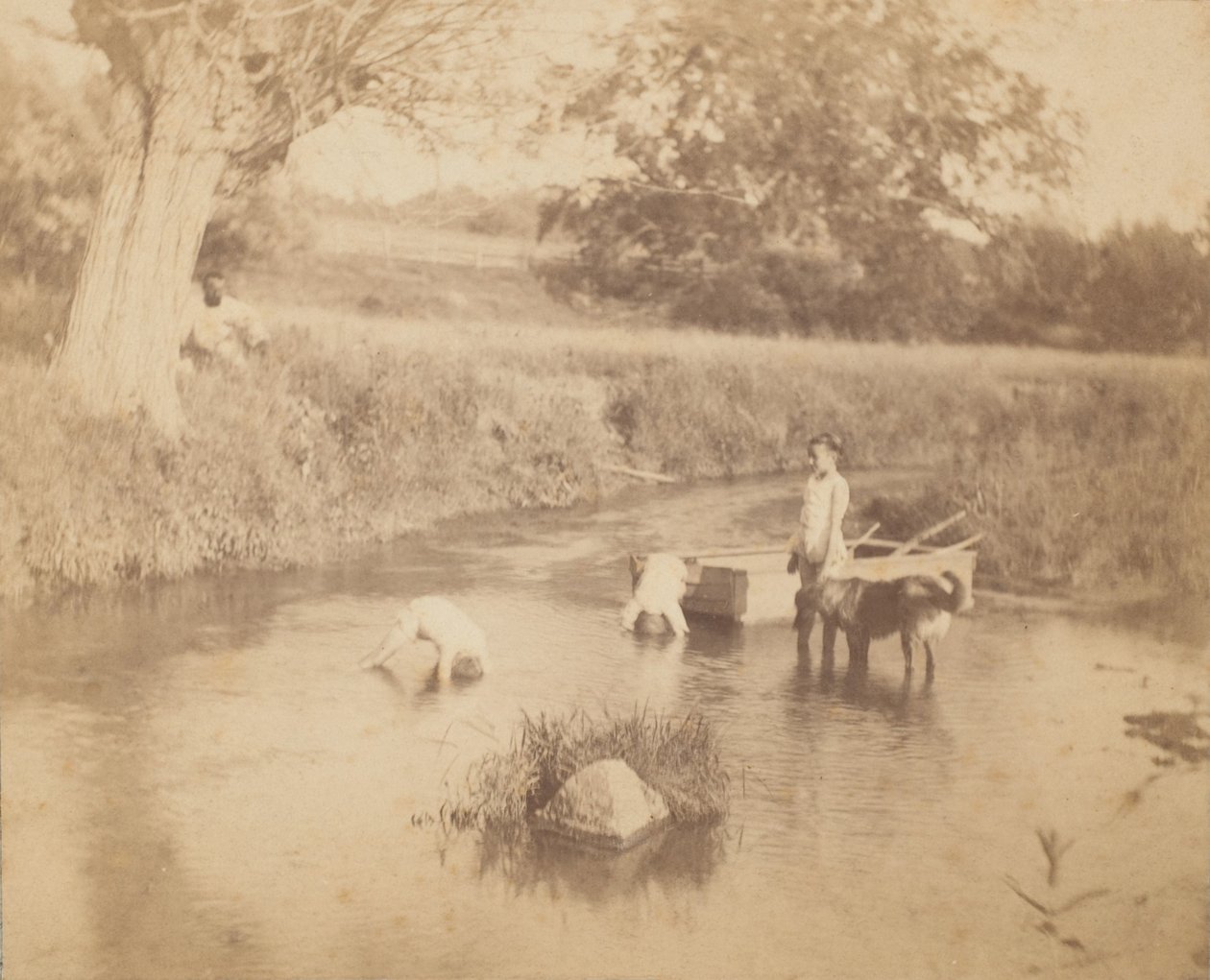 [Három gyerek és egy kutya játszik a patakban, 1883. július 4.], 1883., 1883. alkotó: Thomas Eakins