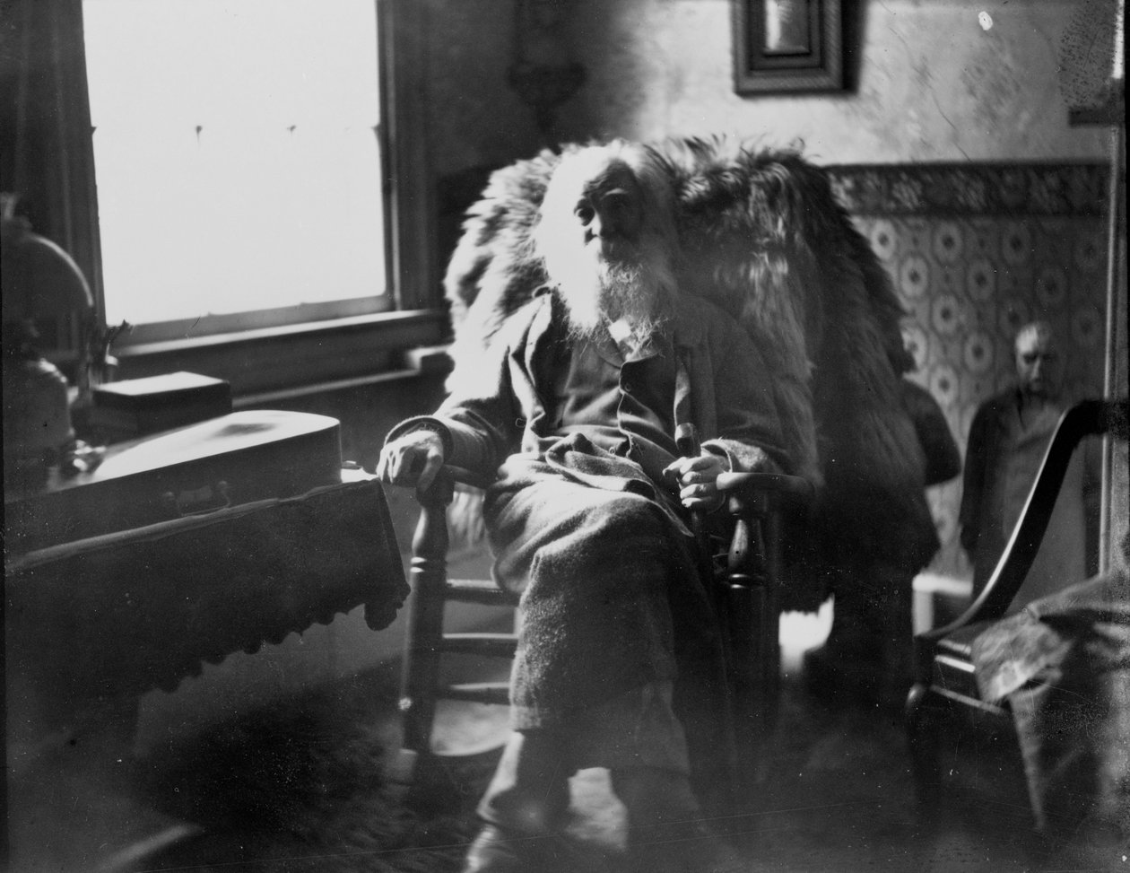 Walt Whitman Camdenben, New Jersey-ben alkotó: Thomas Eakins