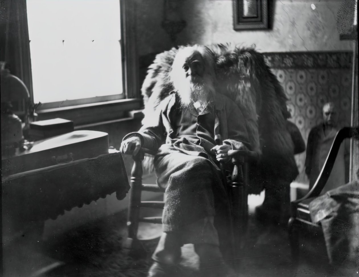 Walt Whitman Camdenben, N.J., kb. 1891. alkotó: Thomas Eakins