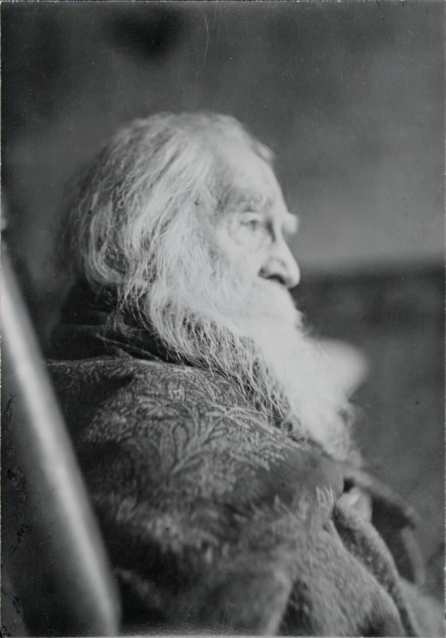 Walt Whitman Camdenben, N.J., kb. 1891. alkotó: Thomas Eakins