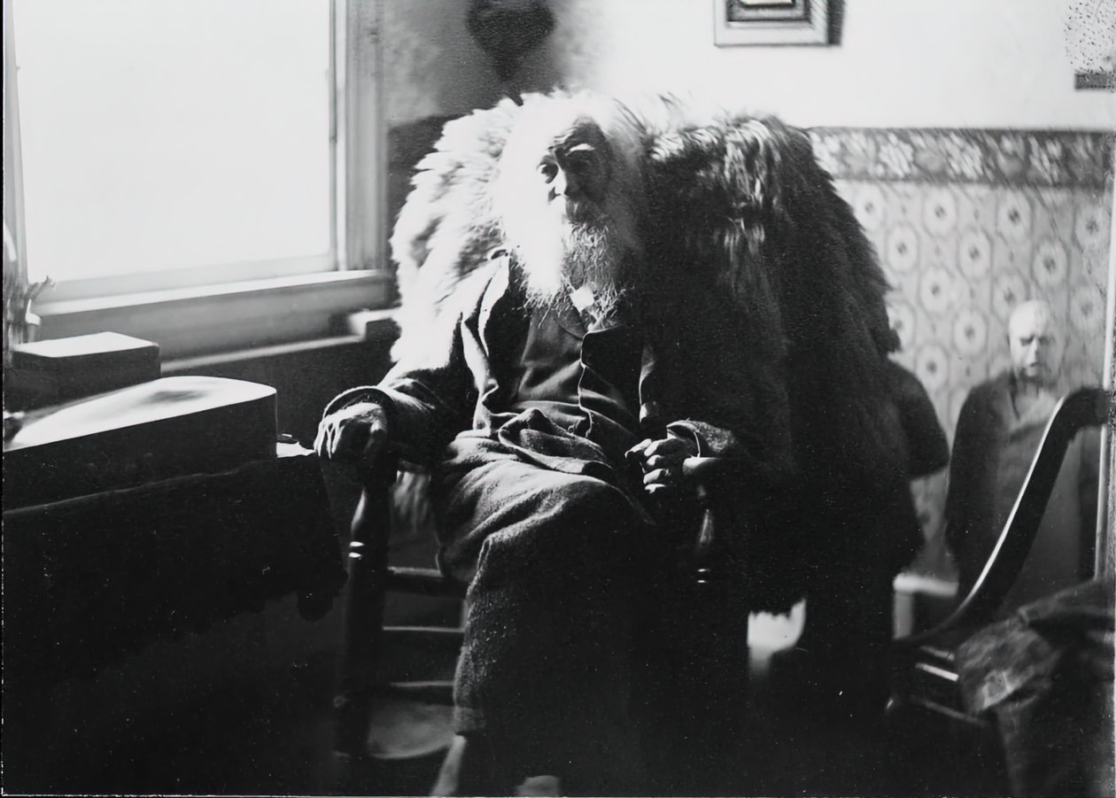 Walt Whitman Camdenben, N.J., kb. 1891. alkotó: Thomas Eakins