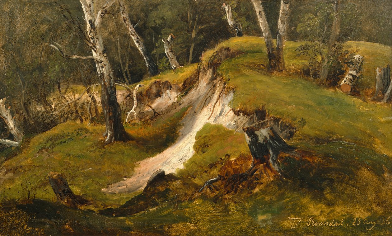 Birck készletek Romsdalban alkotó: Thomas Fearnley