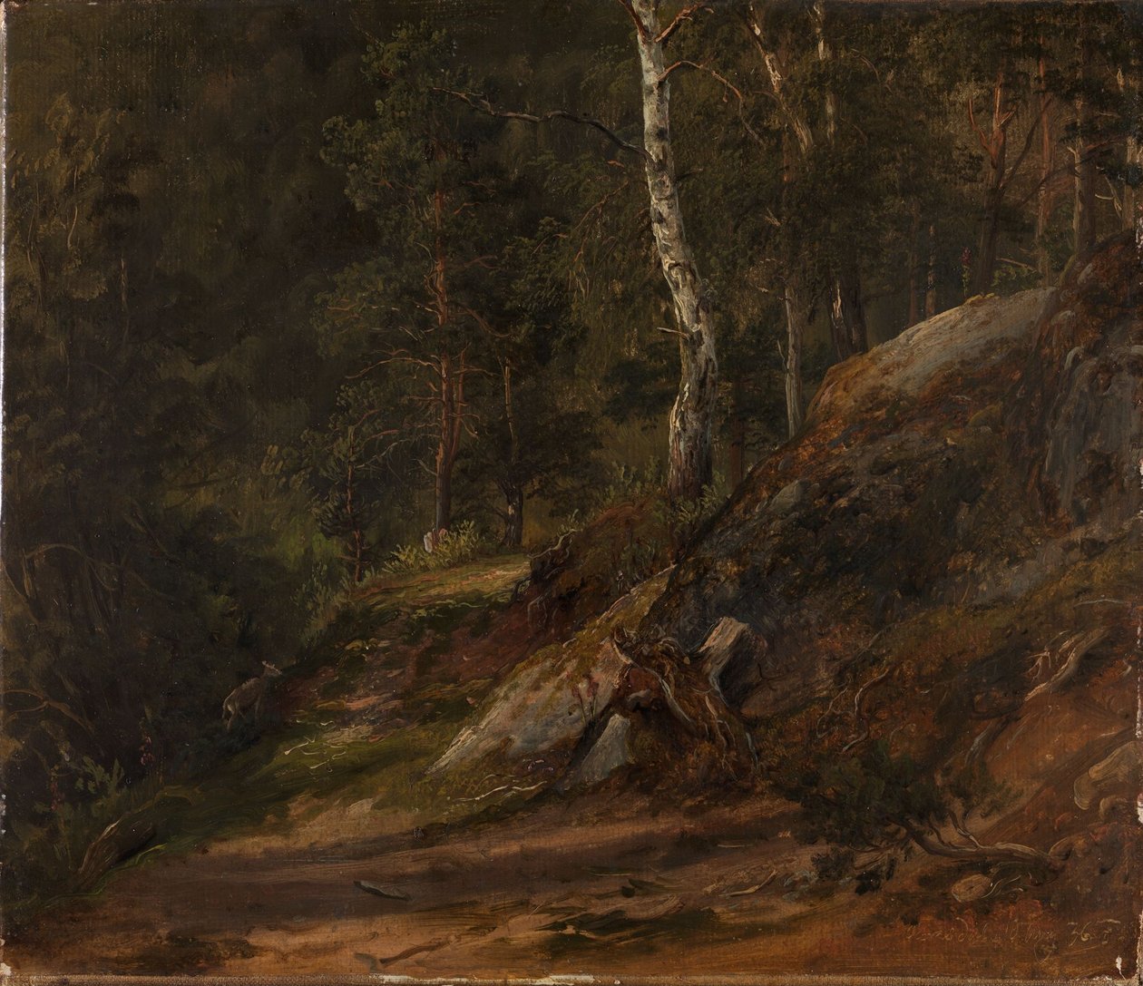 Erdőtanulmány Romsdalból alkotó: Thomas Fearnley