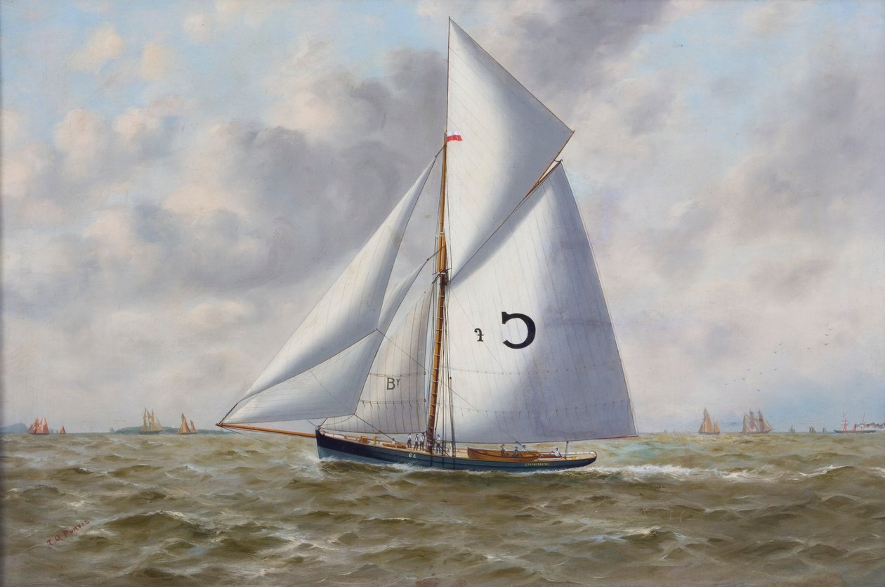 „Marguerite”, 1893 alkotó: Thomas G Purvis