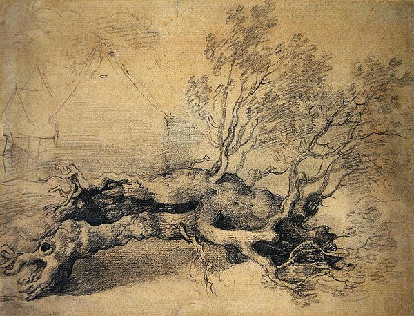 Kidőlt fa, mögötte gazdasági épületekkel (ceruza, papír) alkotó: Thomas Gainsborough