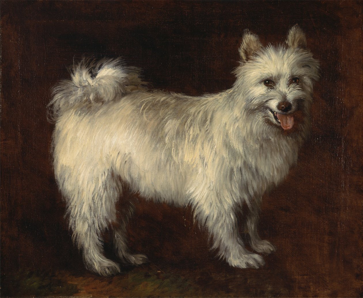Spitz kutya, egy kutya, kb. 1765. alkotó: Thomas Gainsborough