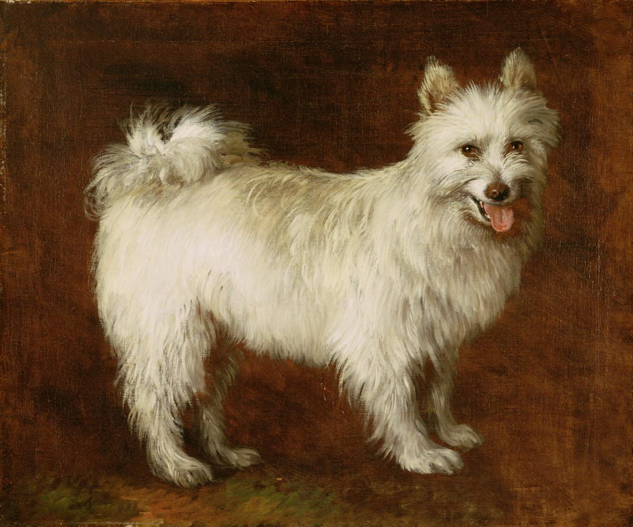 Spitz kutya, 1760-70 körül (olaj, vászon) alkotó: Thomas Gainsborough