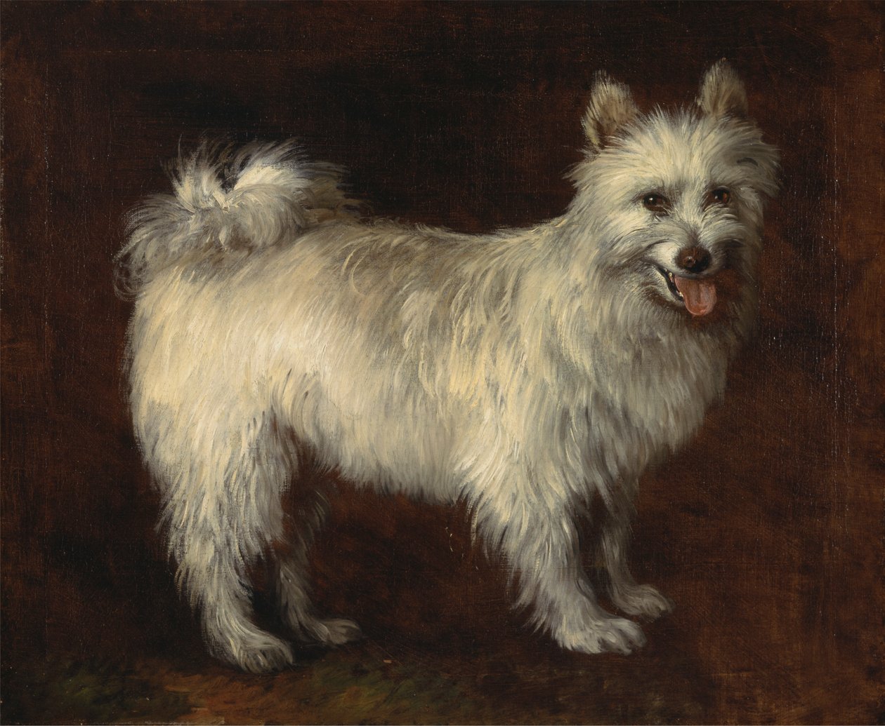 Pomerániai kutya alkotó: Thomas Gainsborough RA