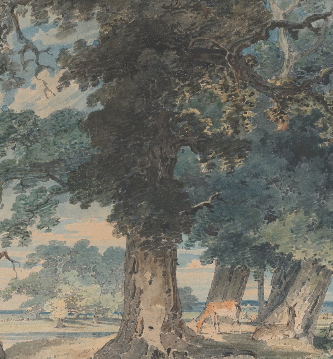 Szarvas a Windsori erdőben, 1793-94. alkotó: Thomas Girtin