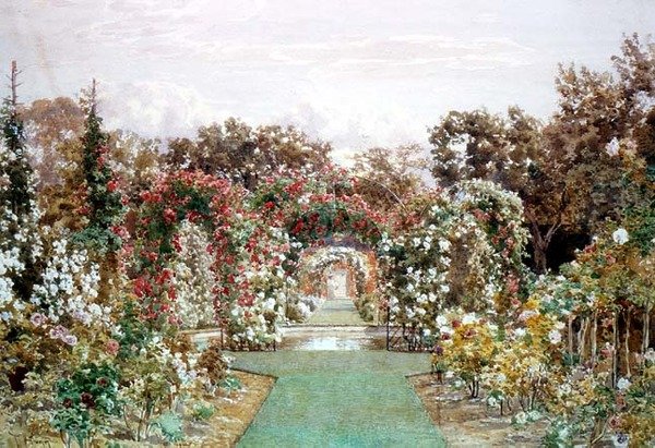 Crimson Rambler a Clandon Parkban alkotó: Thomas H. Hunn