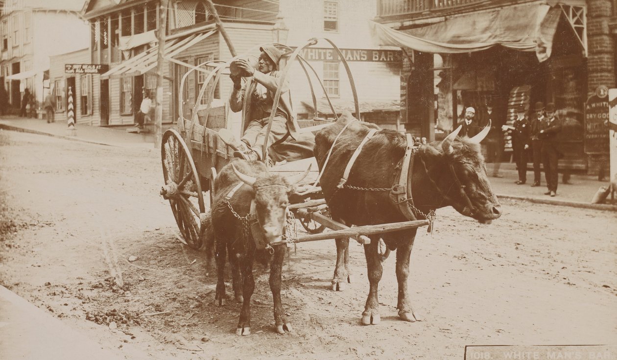 1018. sz., „Fehér ember bárja”, 1895-1910. alkotó: Thomas H. Lindsey