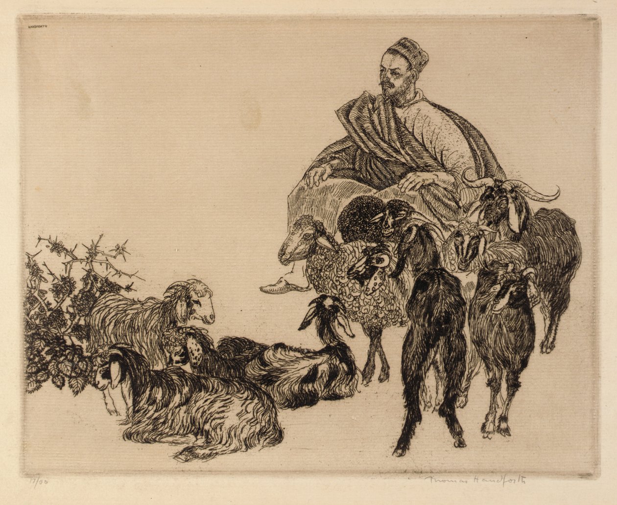 Cím nélkül (Arab kecskékkel) alkotó: Thomas Handforth