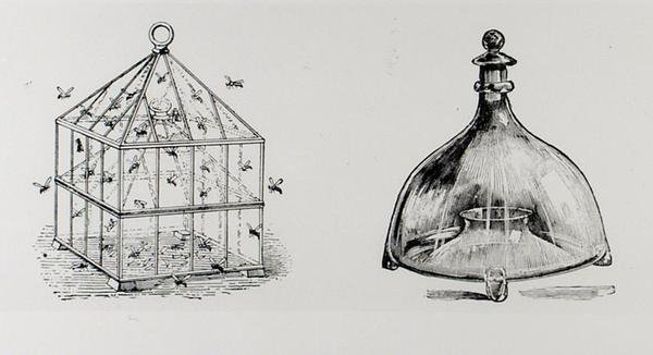 Darázs- és légycsapdák, Thomas Mawson „A kertkészítés művészete és mestersége” című művéből, 1900-ban megjelent (metszet) (f/w fotó) alkotó: Thomas Hayton Mawson