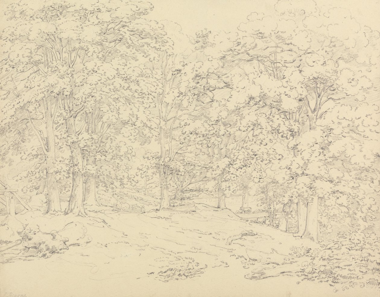 Fák az Ashtead Parkban, Surreyben alkotó: Thomas Hearne