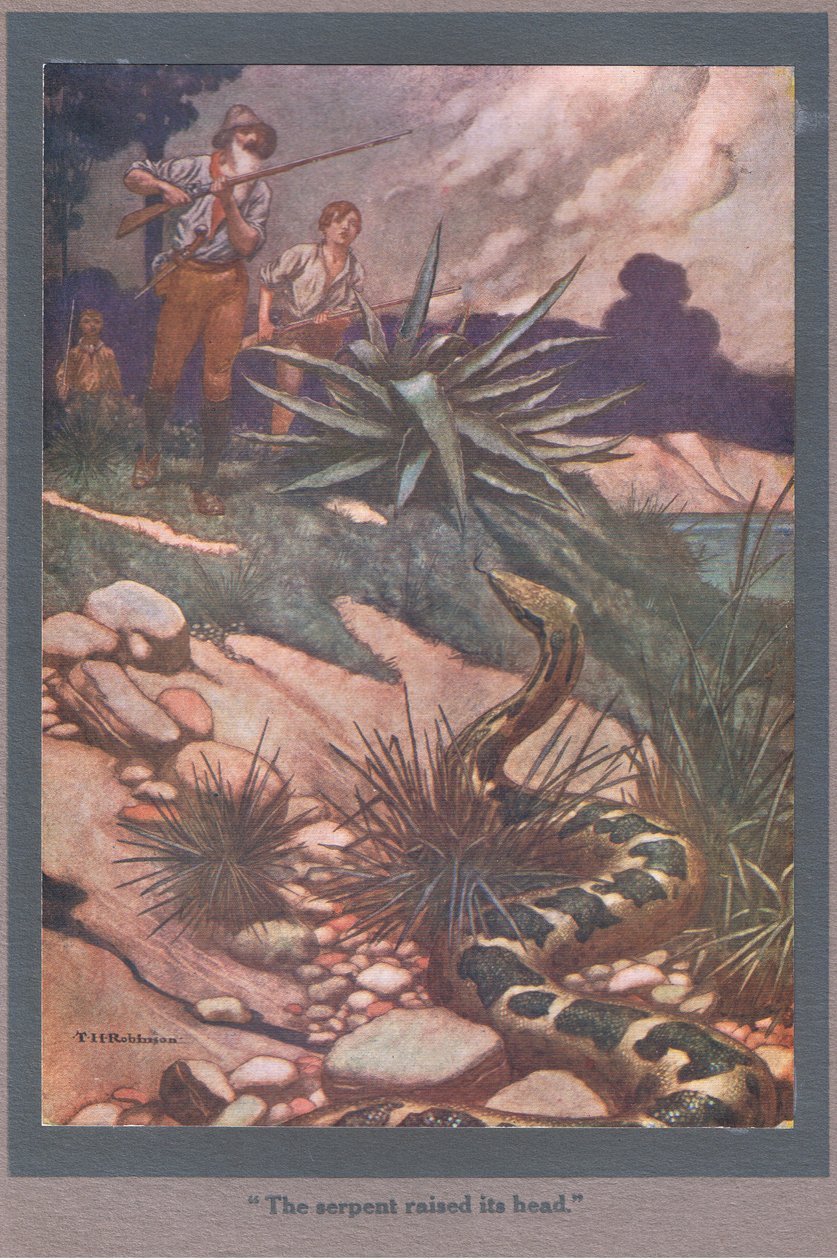 A kígyó felemelte a fejét (színes litográfia) alkotó: Thomas Heath Robinson