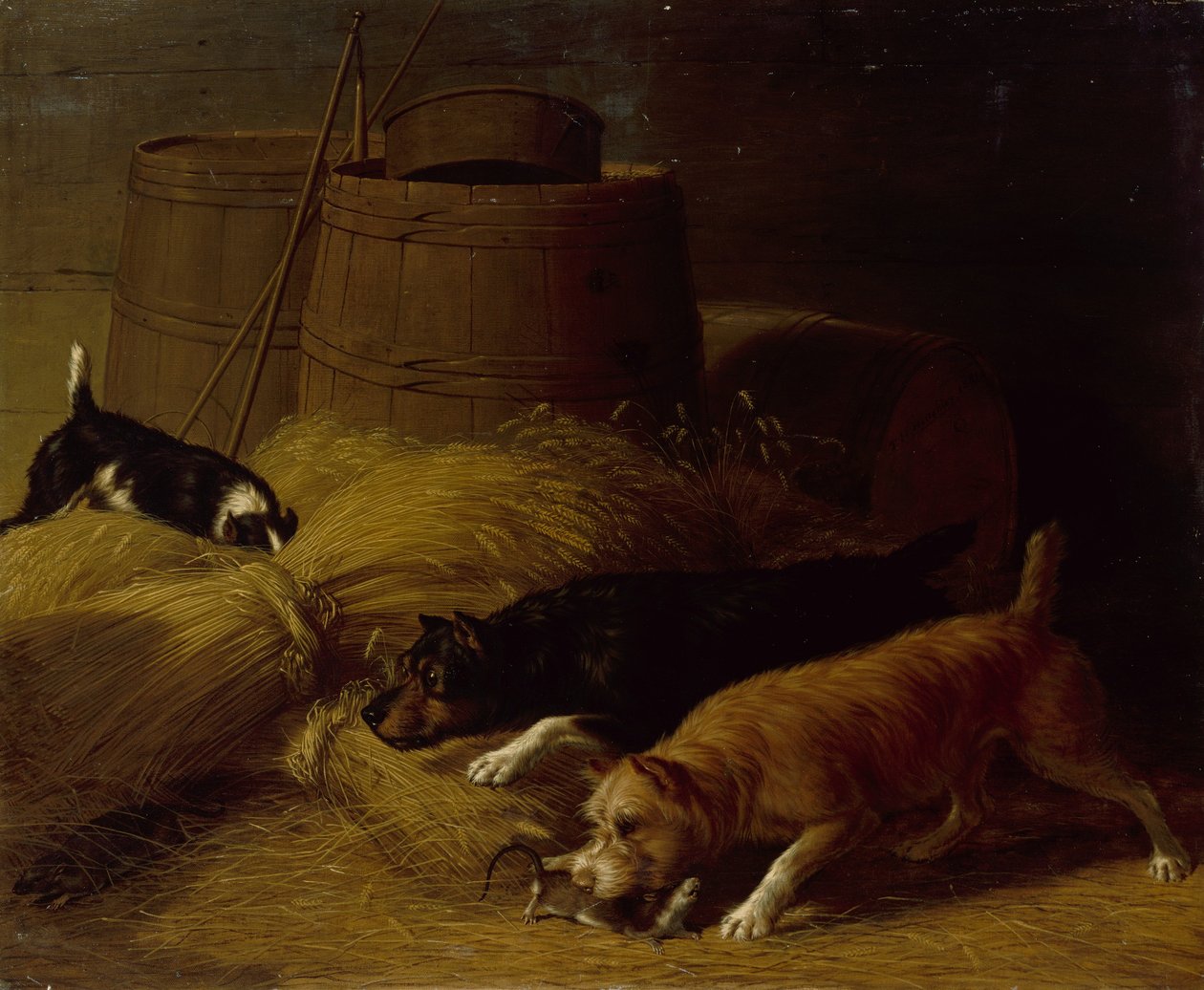 Patkányok az árpakévek között, 1851. alkotó: Thomas Hewes Hinckley