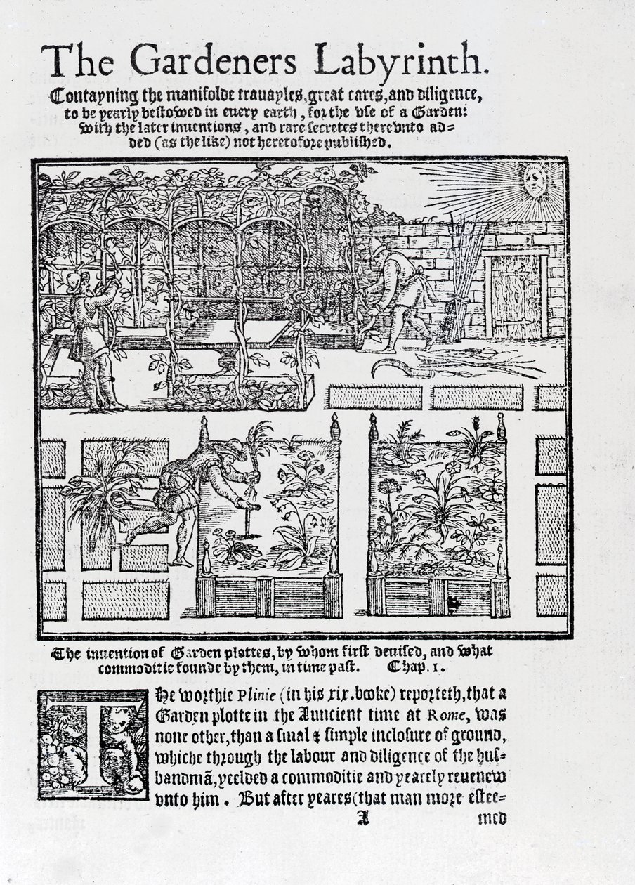Nappal szemben árnyékolóként épített lugas, amelyet magaságyásokba ültetnek, a Kertészek labirintusából, 1577 alkotó: Thomas Hill