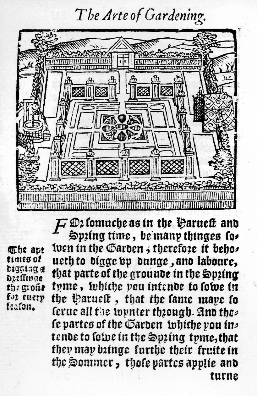 Erzsébet-kert A nyereséges kertészművészetből, 1568 alkotó: Thomas Hill